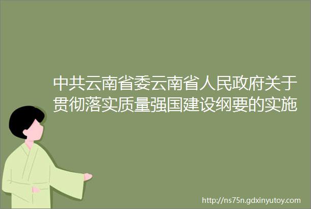 中共云南省委云南省人民政府关于贯彻落实质量强国建设纲要的实施意见